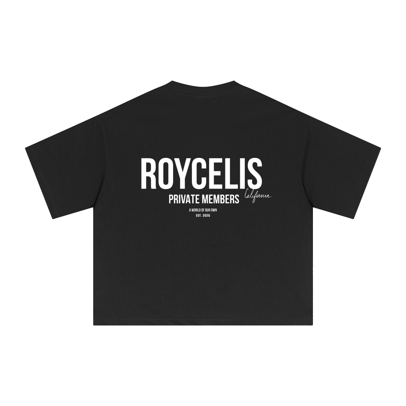 Essential Sorona Boxy T-Shirt