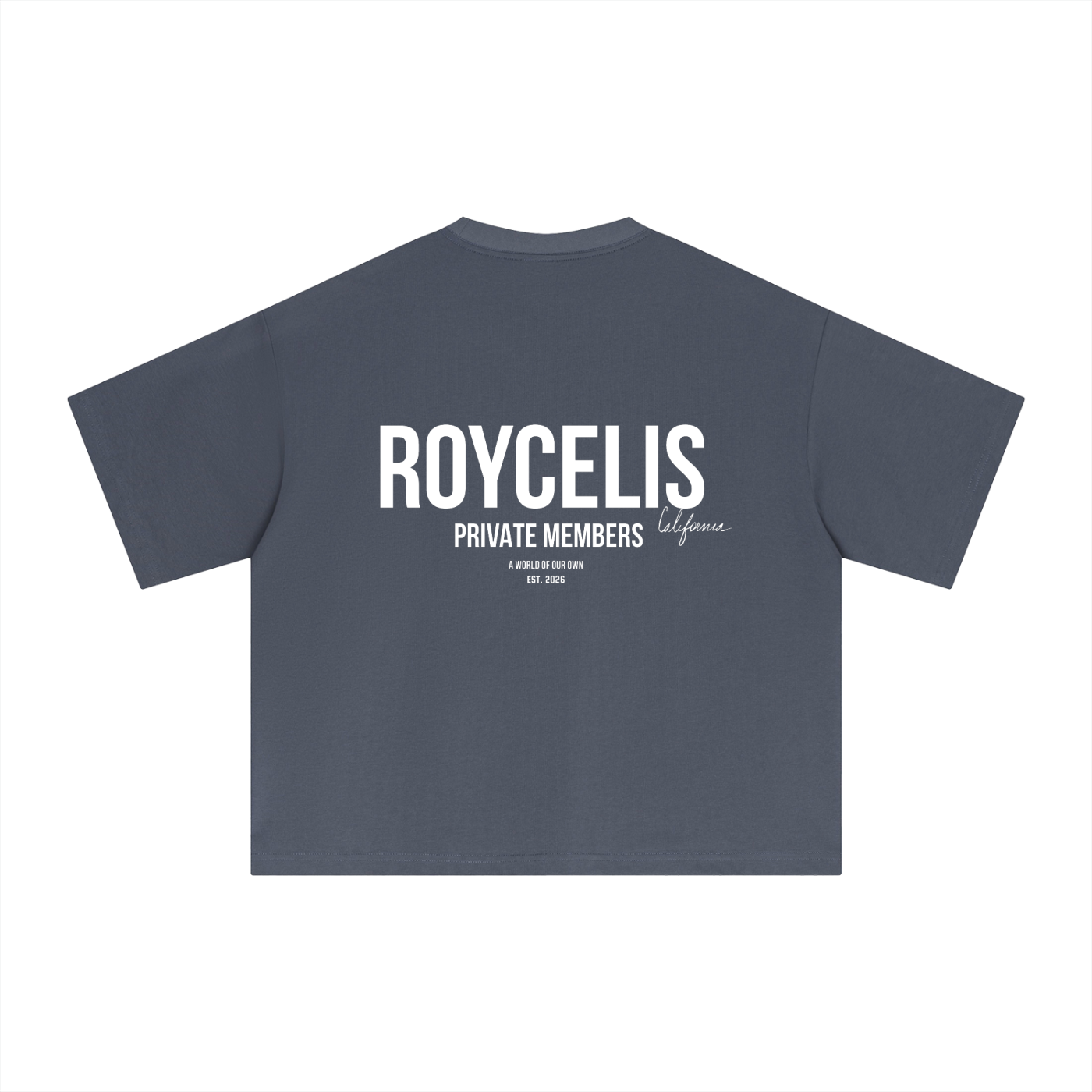 Essential Sorona Boxy T-Shirt