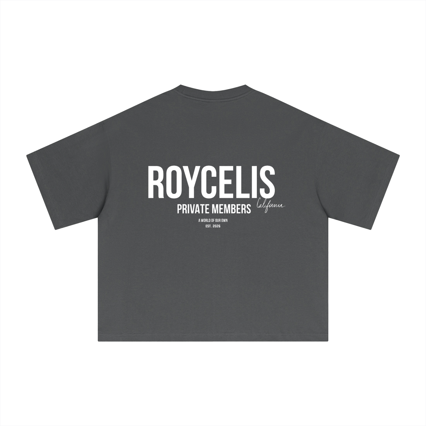 Essential Sorona Boxy T-Shirt